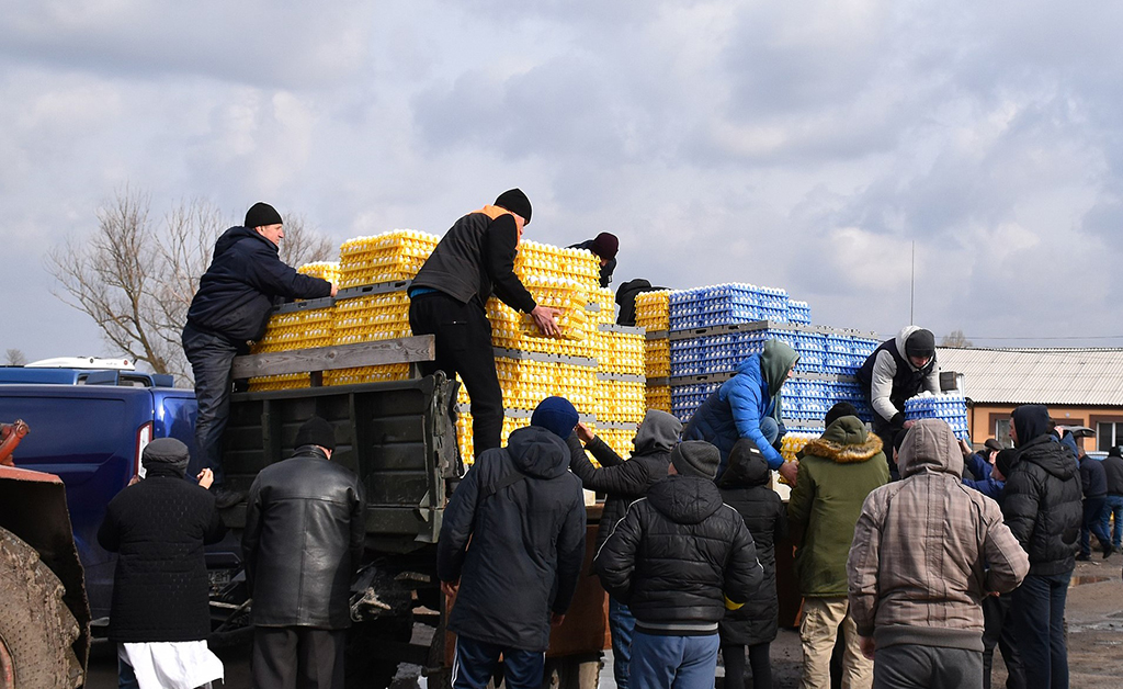 A cluster of men and women surround a truck to unload blue and pallets of cartons of white eggs with a blue and grey sky overhead.