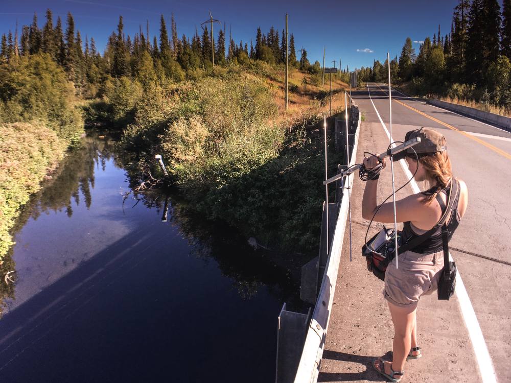 Andrea Reid stands on the side of a bridge, holding a metal instrument pointed towards the Nass River in what appears to be a rural, forest lined area on a sunny day.