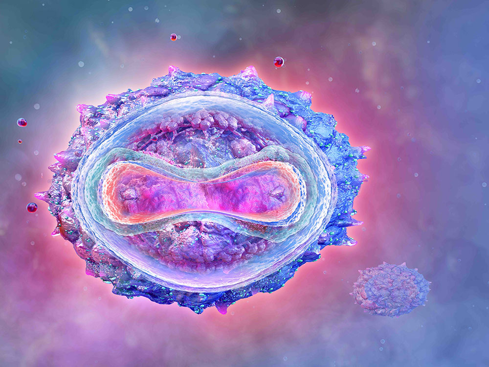 A 3D rendering of the monkeypox viral cell structure depicts an oblong structure with short spikes on the exterior at some distance from one another. The illustration uses a light blue and purple colour scheme. 