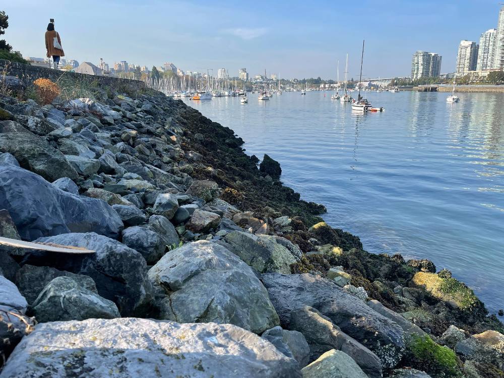 Two stacked photos show the False Creek shoreline pre- and post-development. The top photo is a black-and-white archival photo of False Creek depicting wood structures alongside boggy marshland. The bottom photo depicts the contemporary False Creek seawall on a recent sunny day in Vancouver. Rocks lead into False Creek and one can see condo towers across the water and behind the seawall.