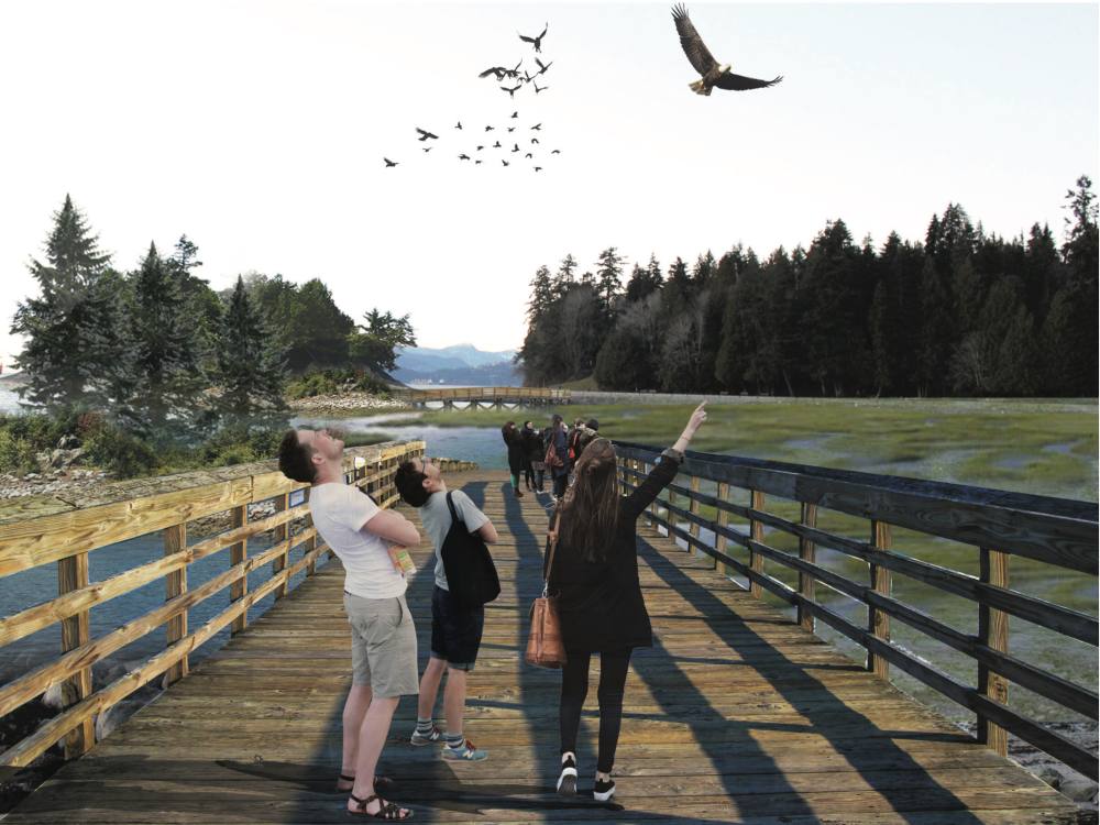 A photo illustration depicts people walking along an elevated boardwalk in Vancouver’s Stanley Park as an alternative to its seawall. They are pointing upwards and looking at birds flying overhead.