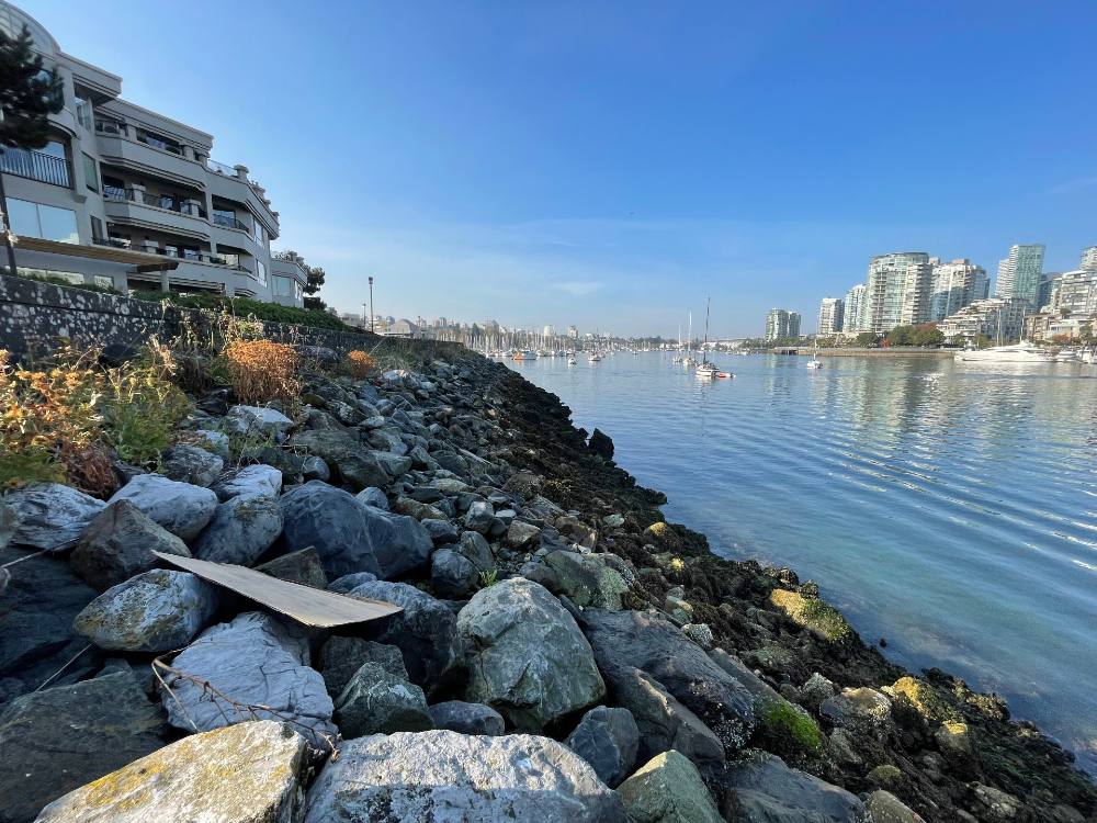 Large grey rocks lead down a slight incline into False Creek. Up the hill to the left of the frame are beige three-storey condominiums behind a grey concrete wall that separates the shoreline from the walkway behind it. The sky and water are blue; the towers part of Vancouver’s Yaletown neighbourhood in the city’s downtown are visible across the water.