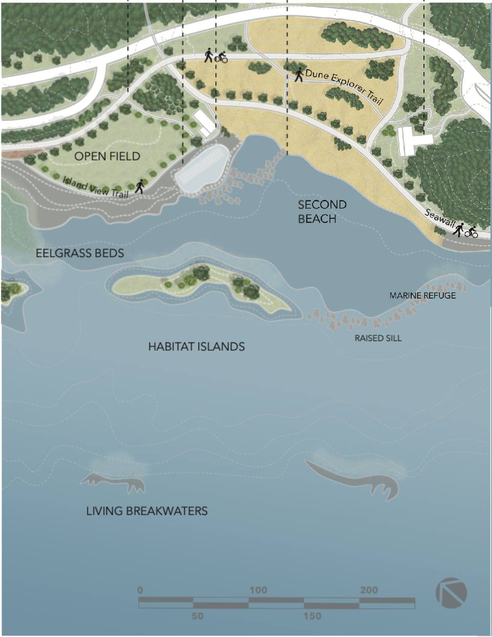 A computer illustration depicts a bird’s-eye view of Second Beach in Vancouver with a new protected shoreline free of the seawall.