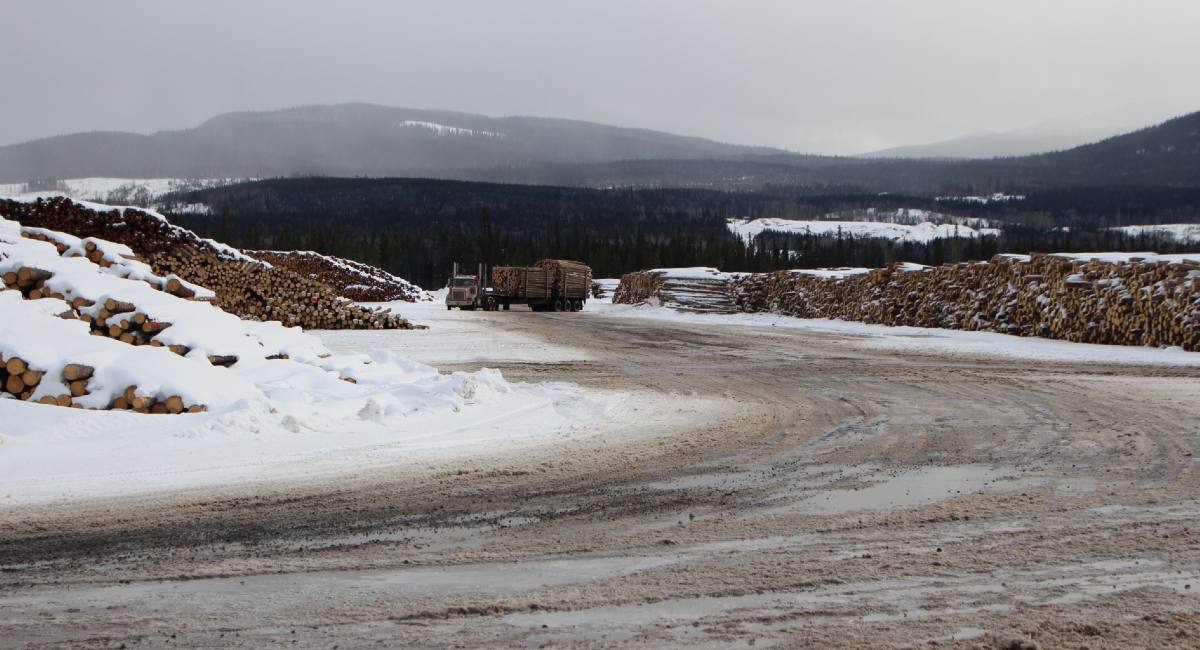 It’s a snowy, slightly cloudy day as a logging truck makes its way through the log yard at Houston mill.