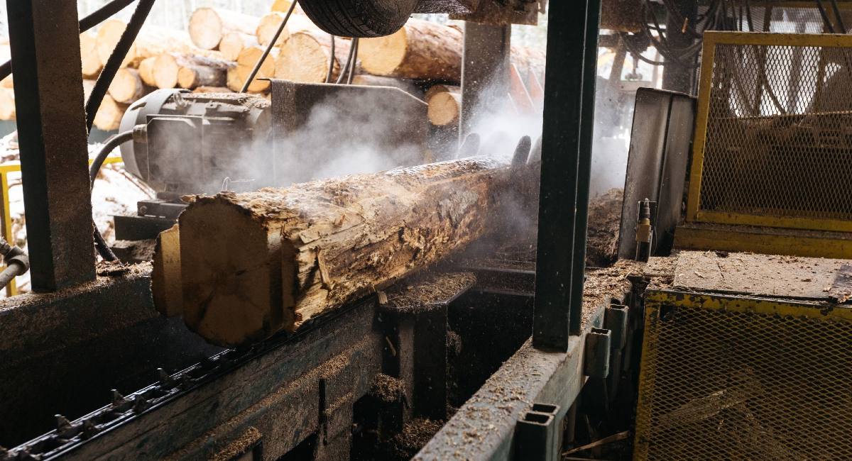 Sawdust rises from a log that is running through saws that align perpendicular to the ground. A toothed track is guiding the log; more uncut logs are visible stacked in the background.