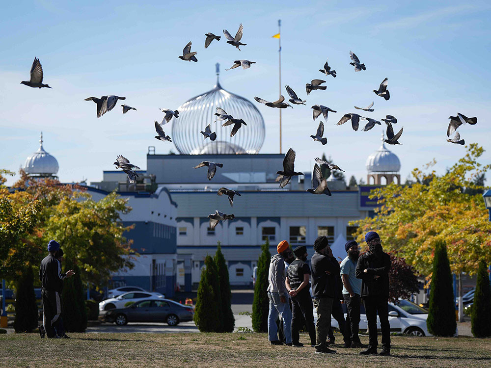 A flock of birds flies across the frame where a Sikh gurdwara stands in the background against a blue sky. A group of Sikh men are gathered on the front lawn. They are turned away from the camera.
