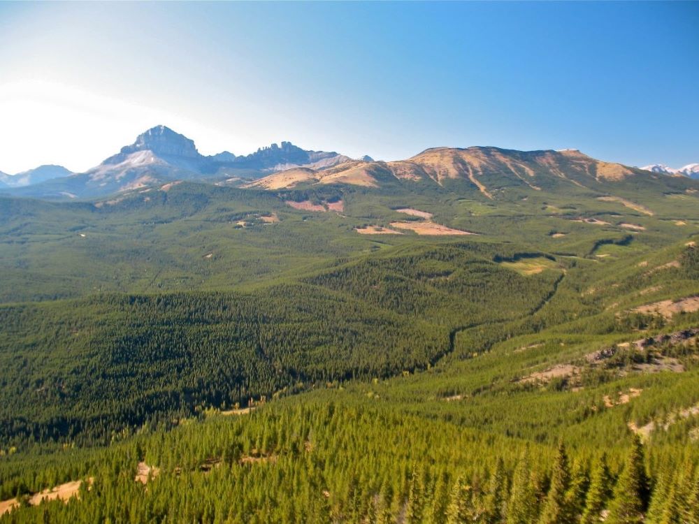 An aerial view of the Grassy Mountain area, with large swathes of green trees and mountain ridges in the background.