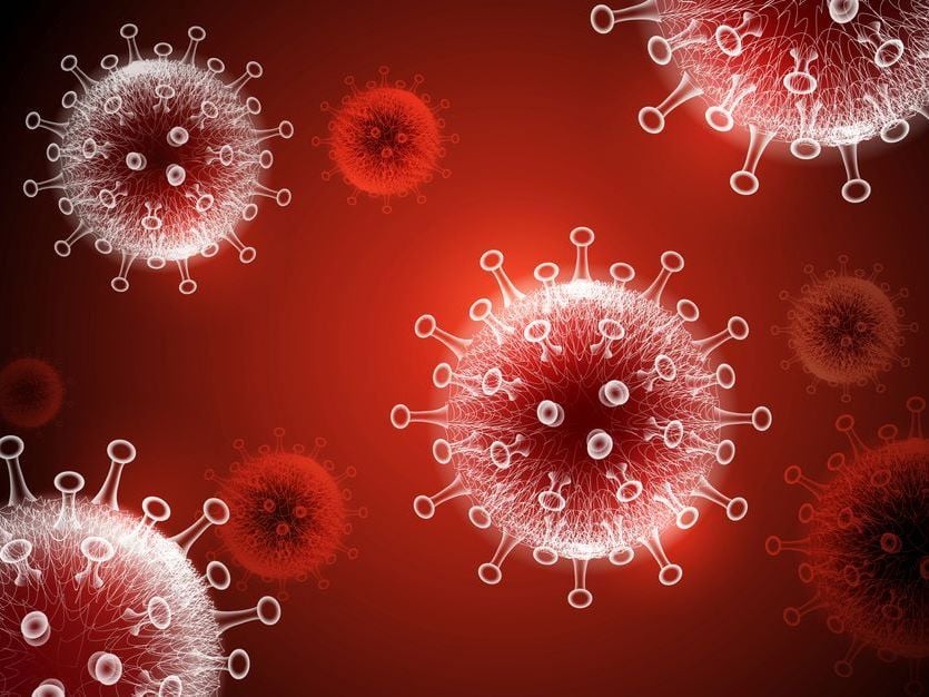 An illustration shows round spiky viruses floating in a reddish haze.
