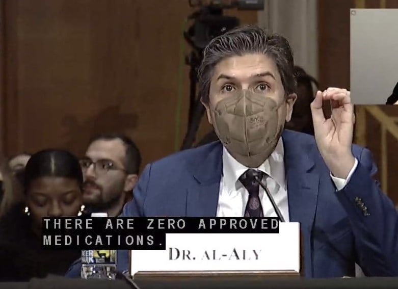 A middle-aged Lebanese man gestures as he presents to a committee from a desk. He has thick dark hair and wears a beige medical mask, blue suit and white shirt and dark tie. The photo shows subtitles from his talk.