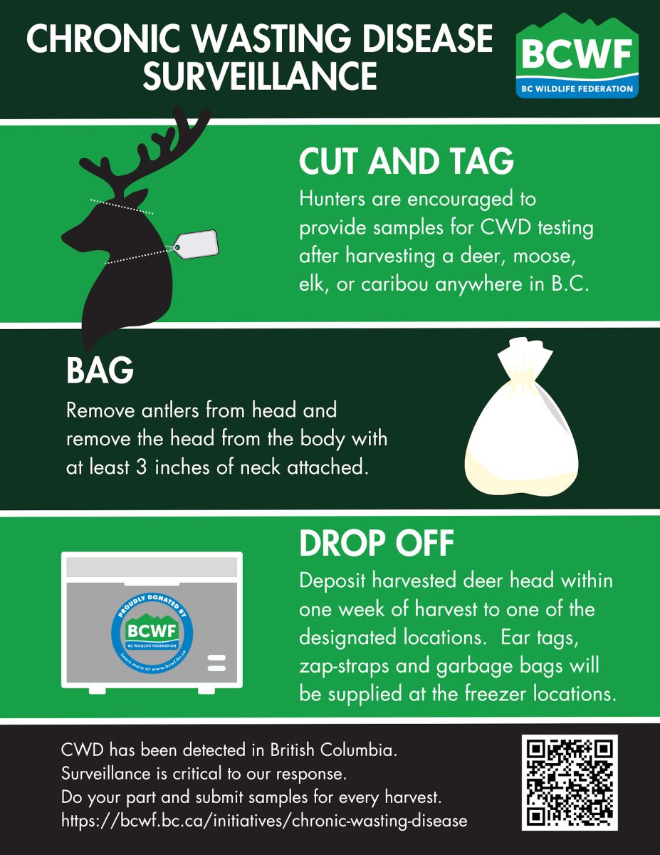 A graphic shows three steps for following CWD surveillance protocols: cut and tag, bag, and send deer head in to the government within one week of harvest.