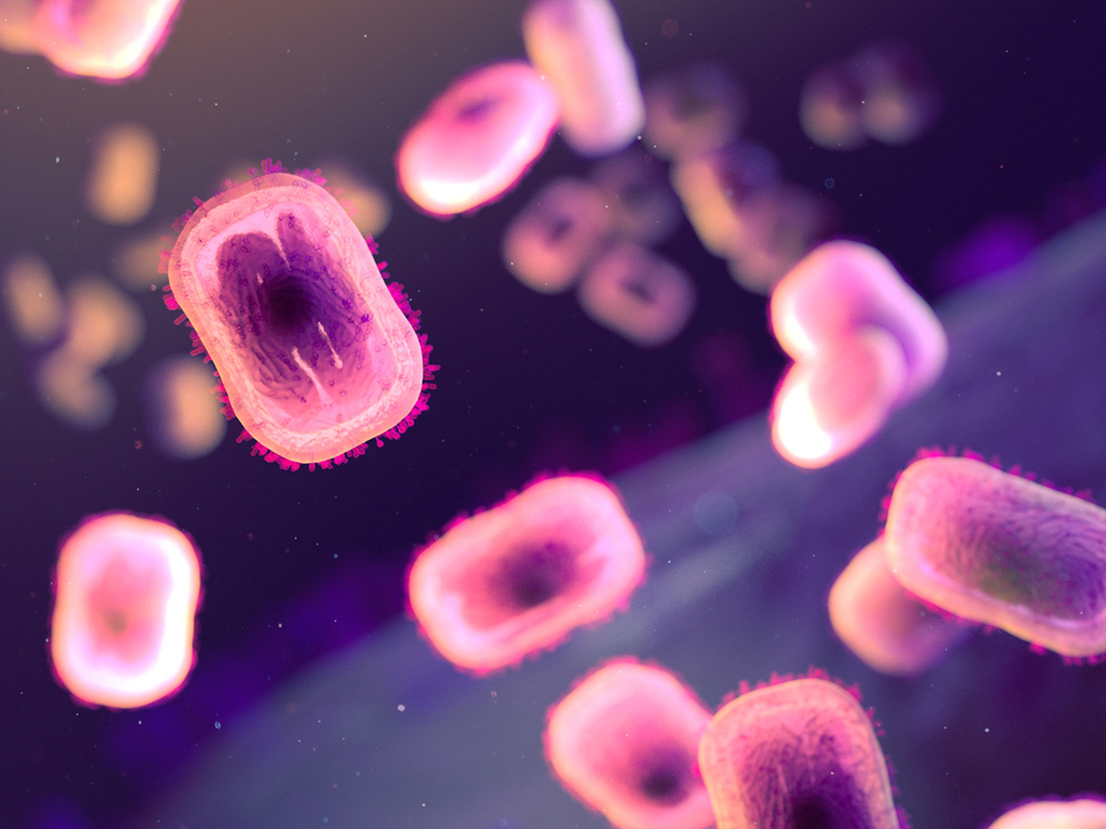 Several rectangular-shaped virus particles, pink with purple centres, float around the frame.
