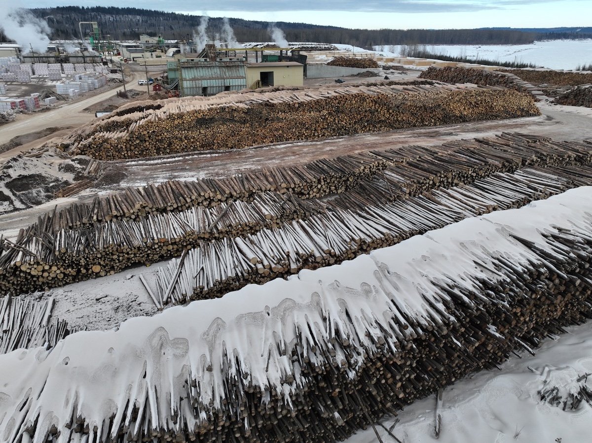 At least 10 rows containing thousands of whole logs sit in front of and to the side of a building in Prince George.
