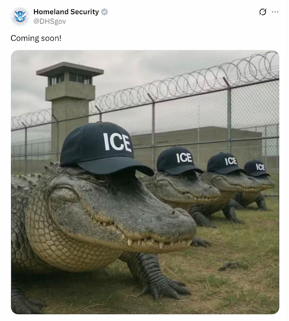 A photo-shopped image shows a row of alligators outside a prison wearing ICE hats.