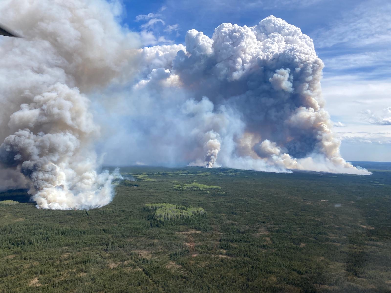 An aerial photo shows massive plumes of smoke rising from a forest. 