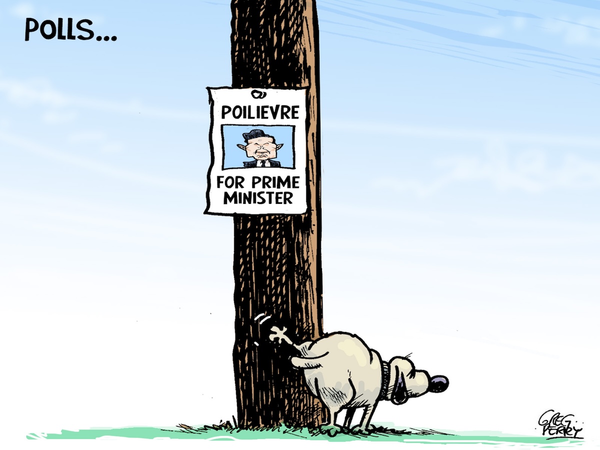 A cartoon shows a telephone pole with a poster saying &lsquo;Poilievre for prime minister.&rsquo; A dog is urinating on the pole.