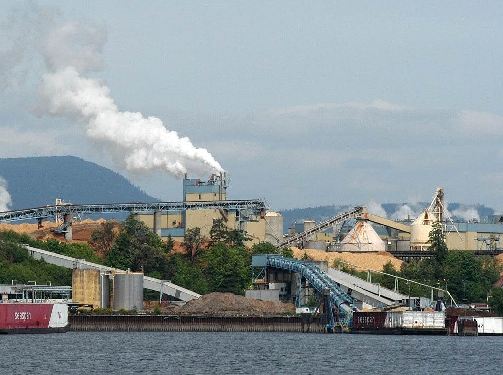 A billow of white smoke comes from an industrial facility semi-obscured by trees. Piles of wood chips are visible. A waterfront loading facility is in the foreground.
