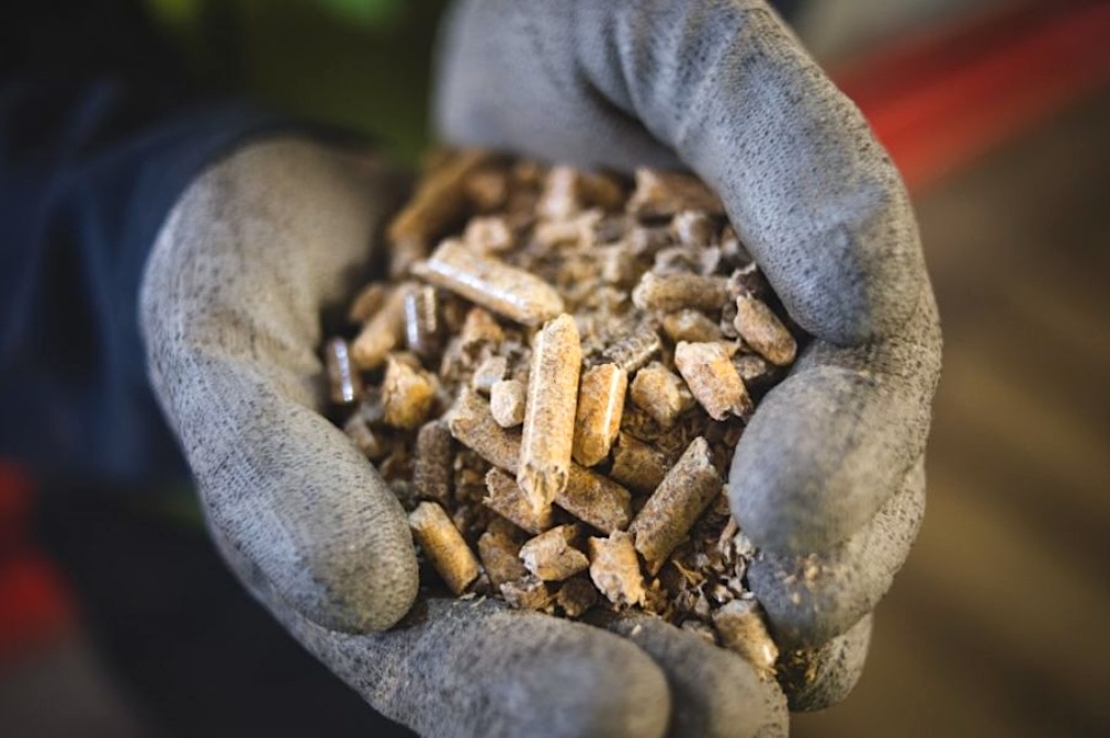 A hand holds a collection of pellets, some shiny, made of compressed wood fibre.