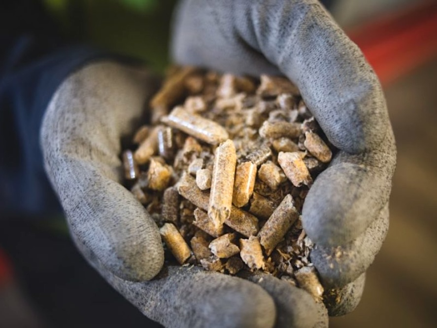 Does Burning Wood Actually Fight Climate Change?