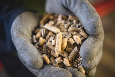 Does Burning Wood Actually Fight Climate Change?