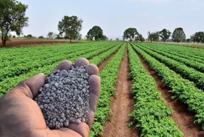 Brace for the Looming Fertilizer Shortage