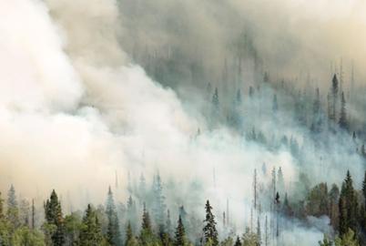 ‘Smoke-Proofing’: The Need for a National Effort
