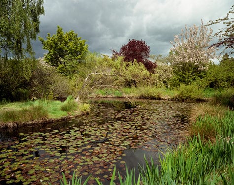 Fantasy Gardens - pond
