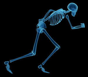 X-ray skeleton