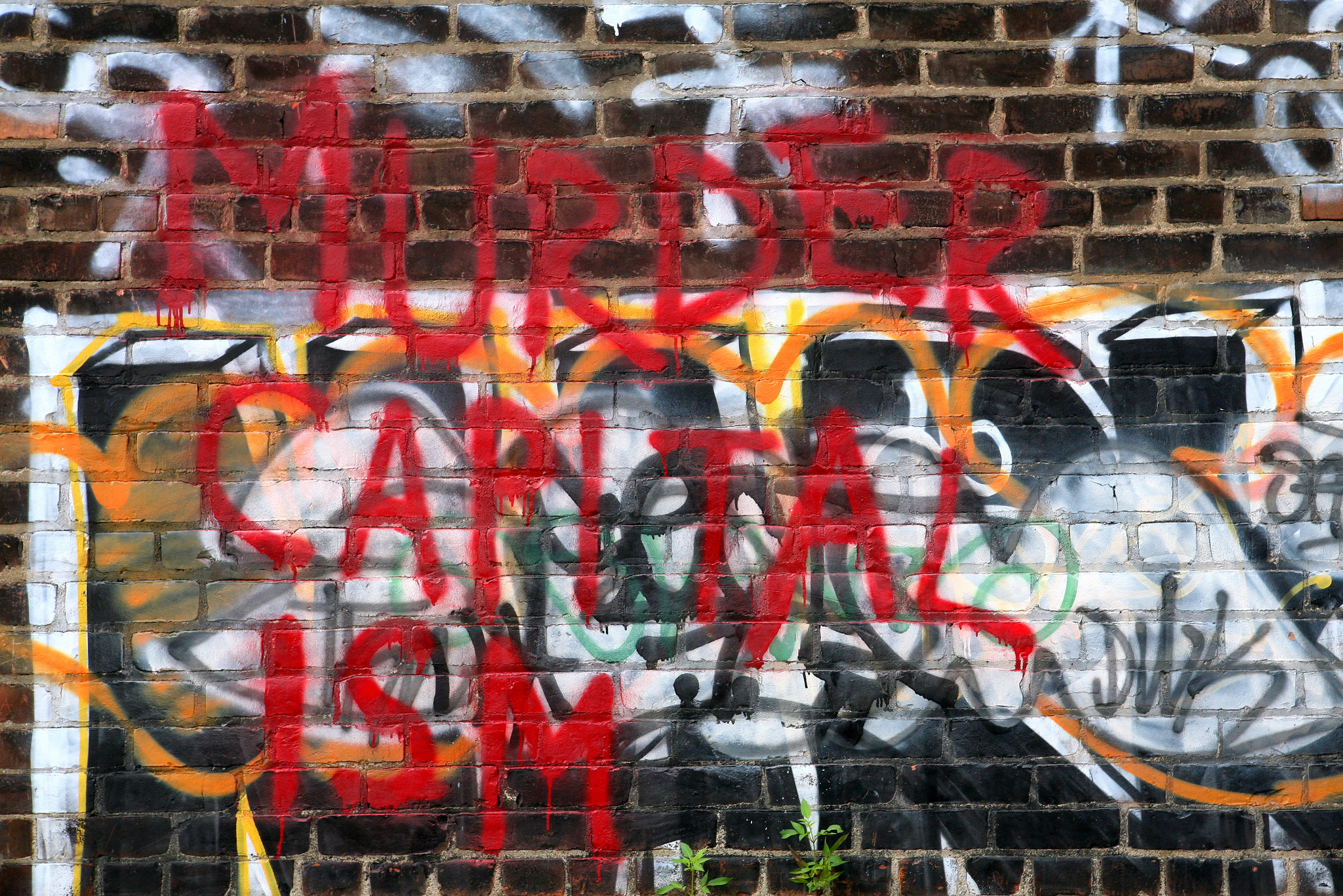 'Murder Capitalism' graffiti