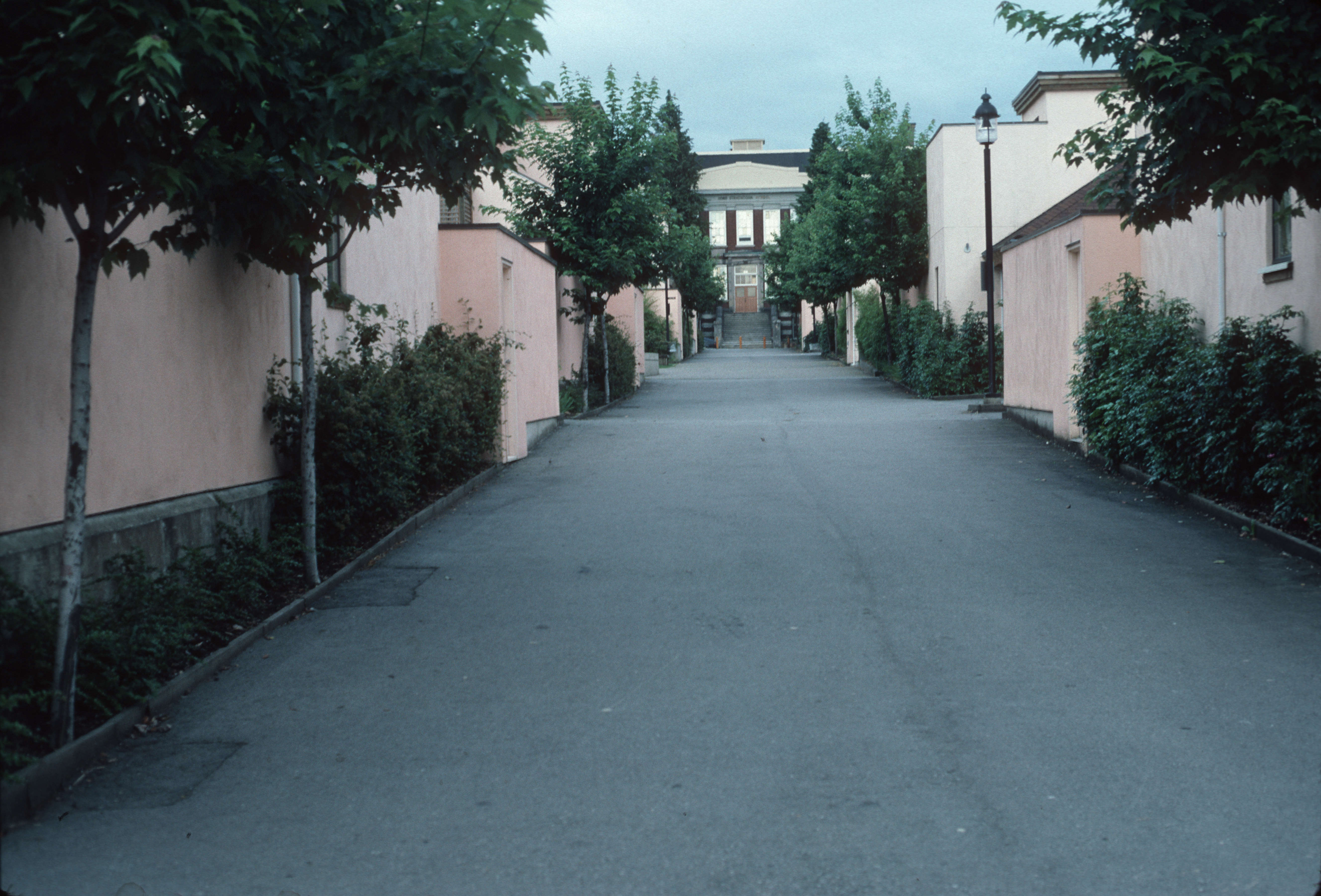 851px version of Chinatown-Peony-Garden.jpg