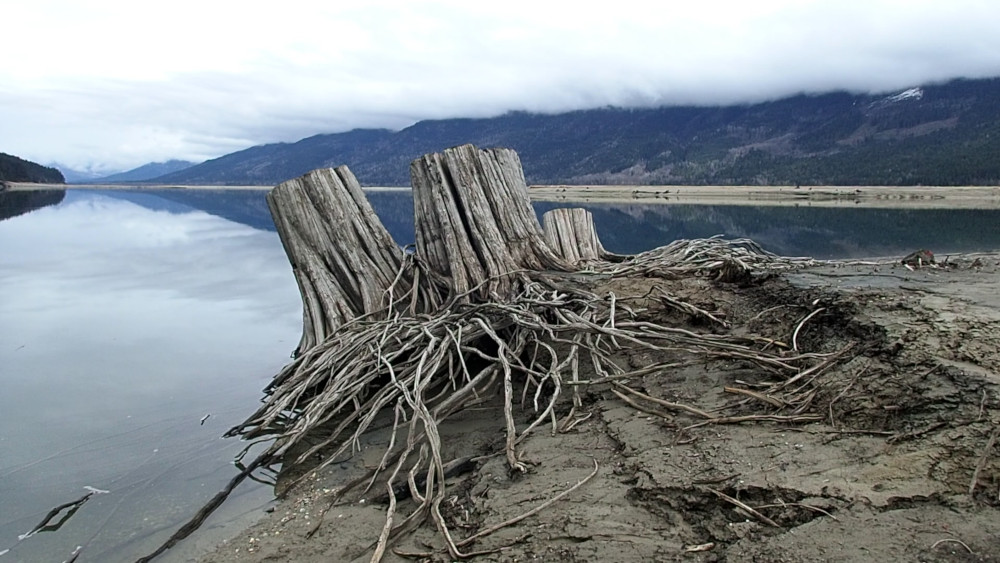 'Spill': A New Exhibit Examines Humanity's Abuse of Water - TheTyee.ca