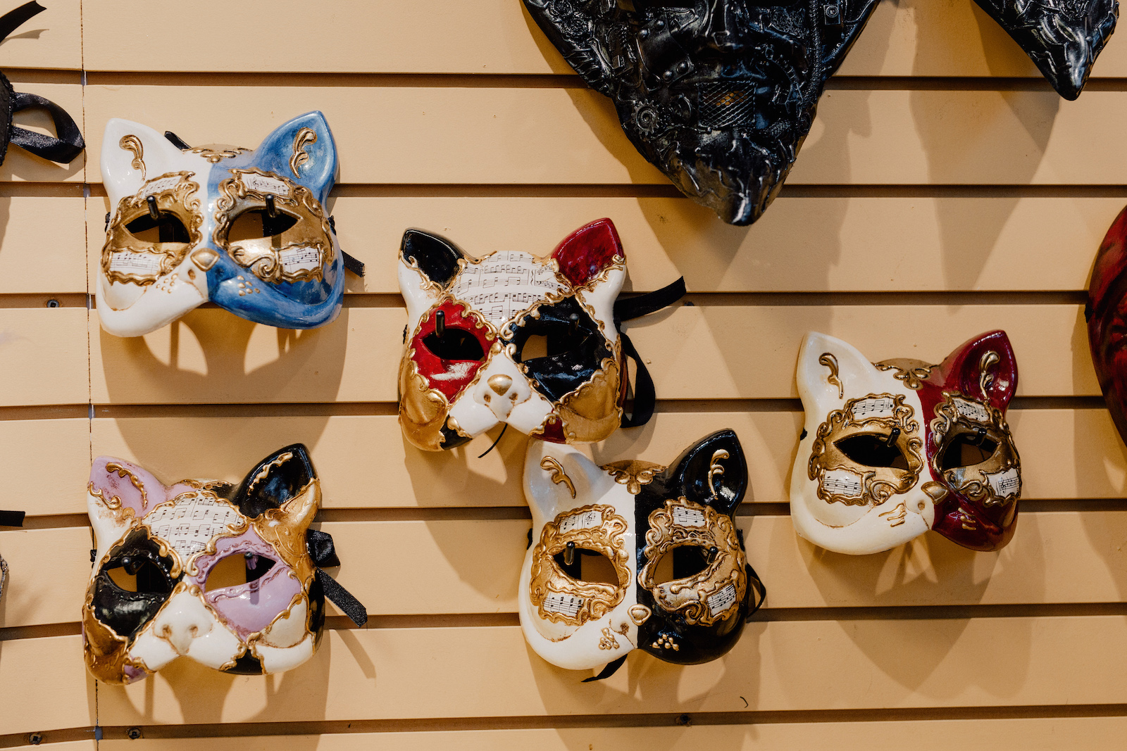 851px version of IMAGE.Cat-Masks.jpg