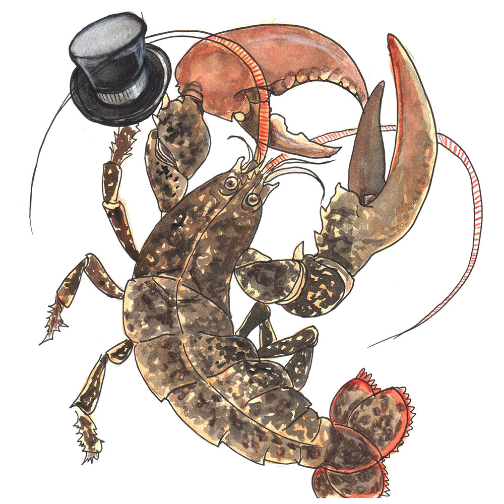 582px version of LobsterTopHatDW.jpg