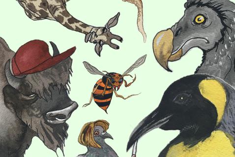 Eight New Species of the Pandemic