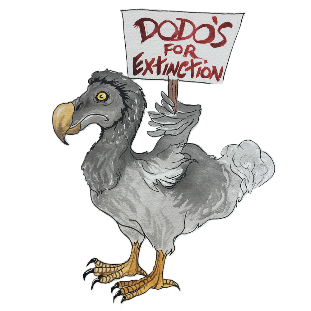 582px version of DW-Dodo.png