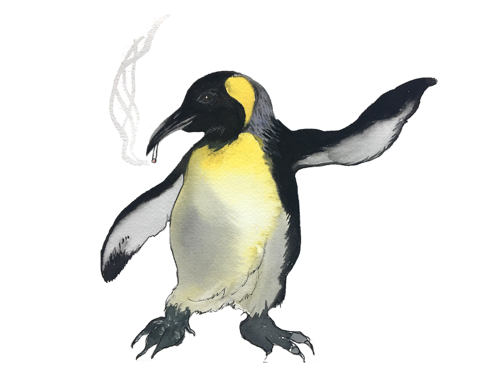 582px version of DW-Penguin.png
