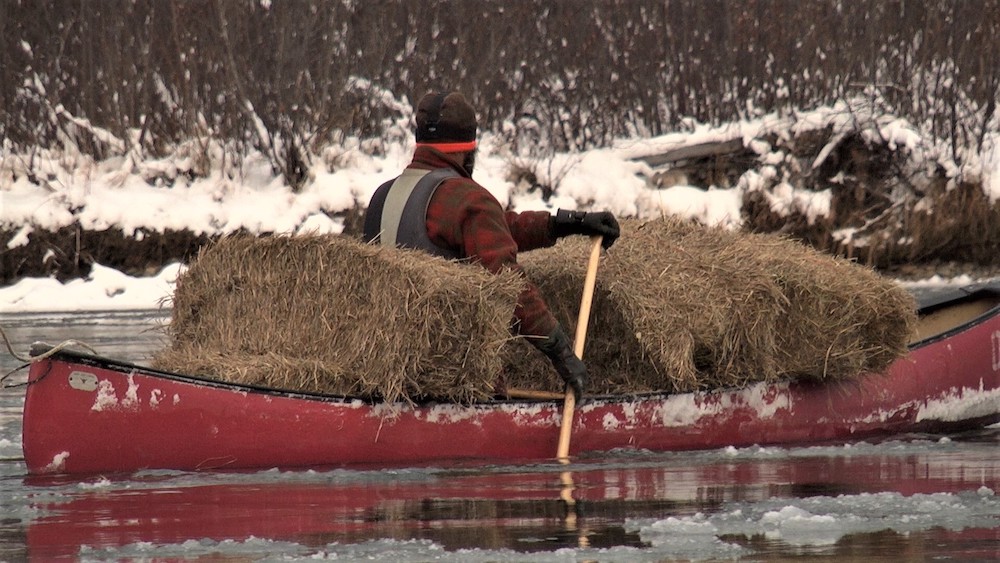 Farmer-Loren-Sadlier-canoing-hay-winter_SC-adjusted.jpg