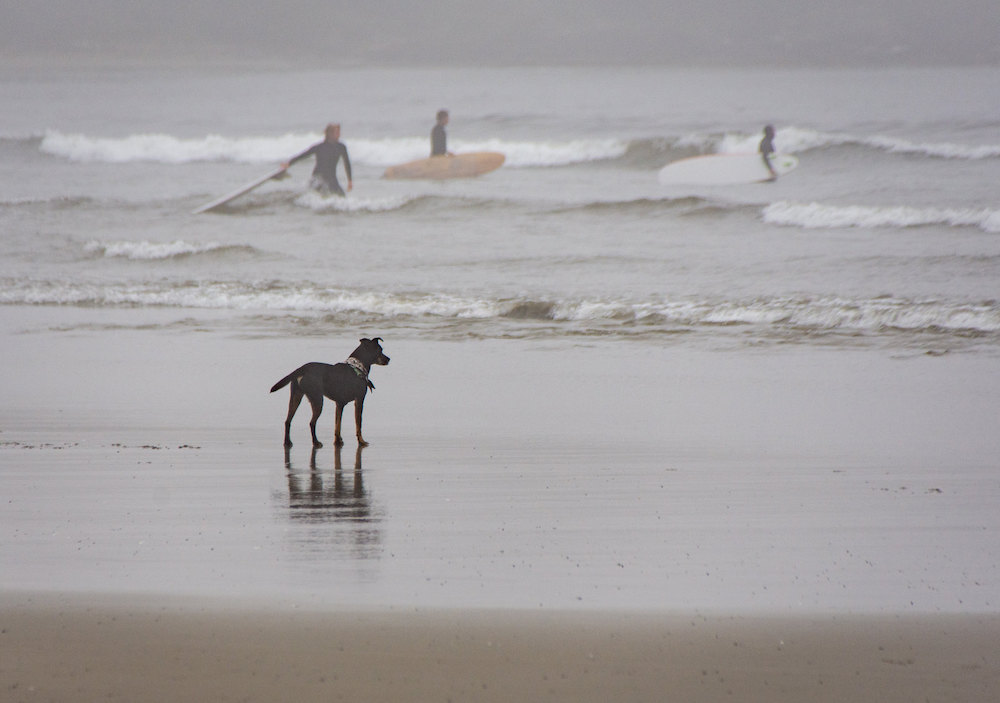 Tyee2020KatrinaLifeguard.jpg