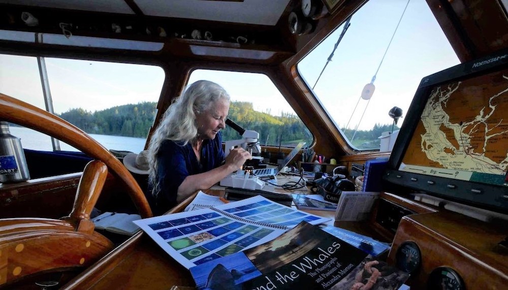 Alexandra Morton looks into a microscope. She’s on a boat, and the ocean is visible through a window behind her.