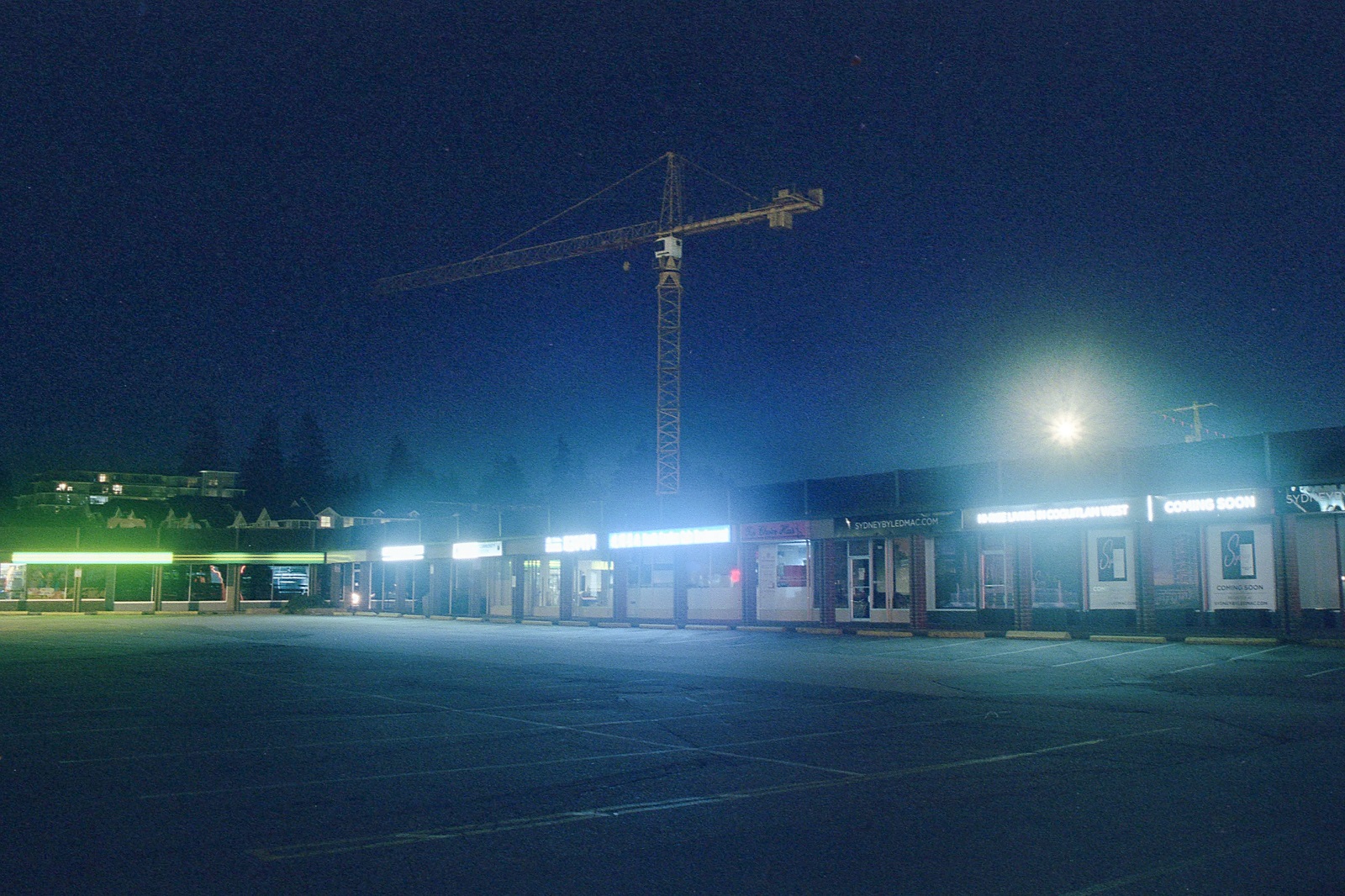 851px version of GrowthSpurt-Burquitlam.jpg