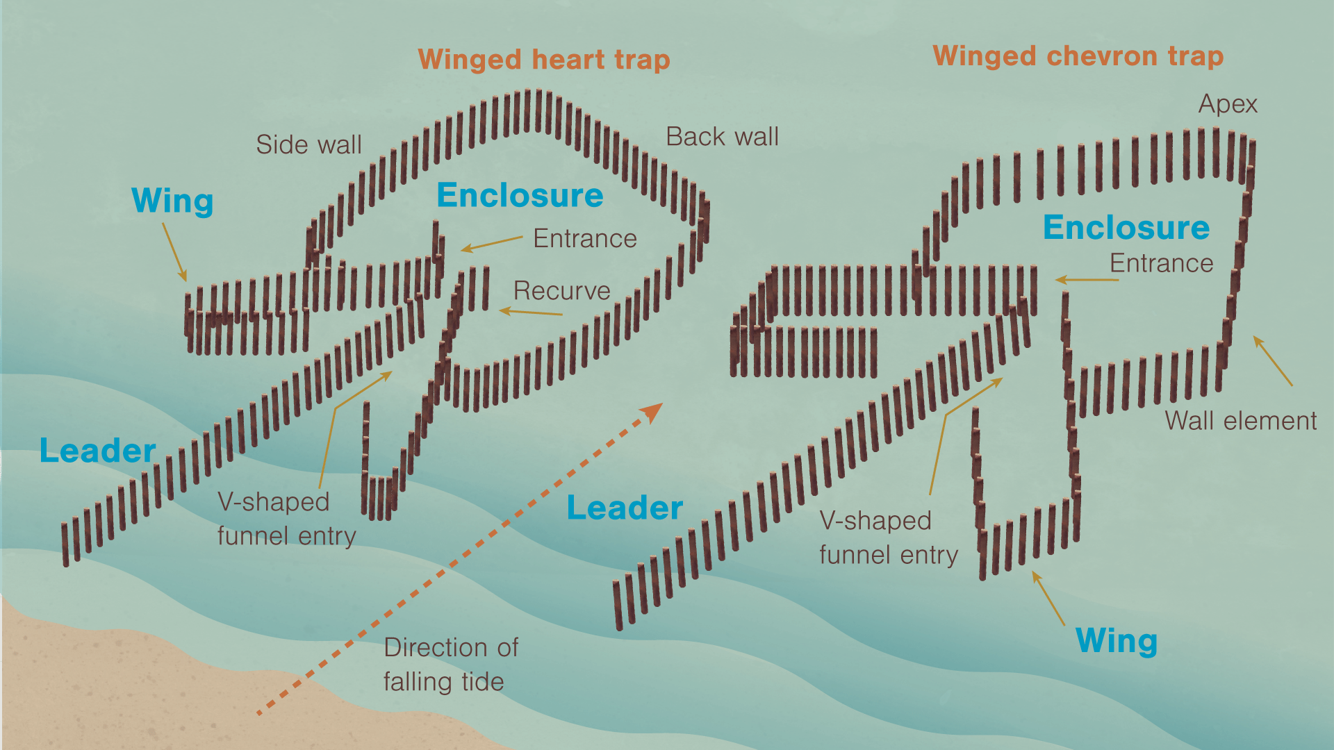 851px version of FishTrapDiagrams.png