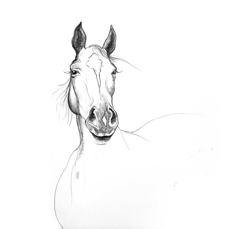 HorseDrawing.jpg