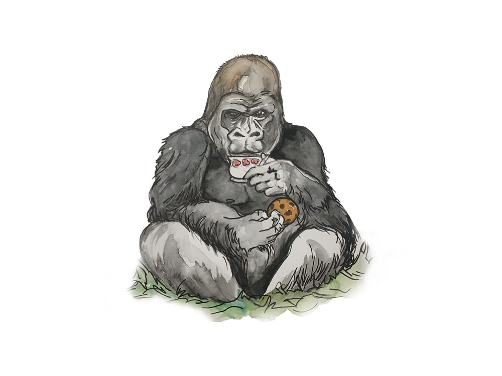 851px version of GorillaWoodendIllustration.jpeg