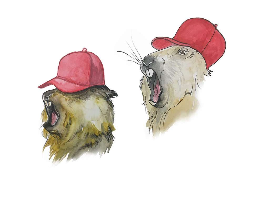 GroundhogRedHatsYellingWoodendIllustration.jpg