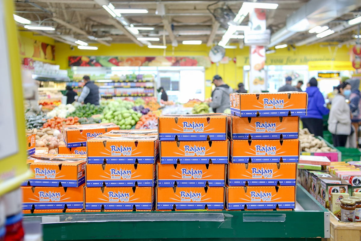 In one of Fruiticana’s Surrey locations with their signature bright-yellow walls, orange cardboard cases of mangoes sit stacked on a green cart in the produce department. In the background, people are shopping for groceries.
