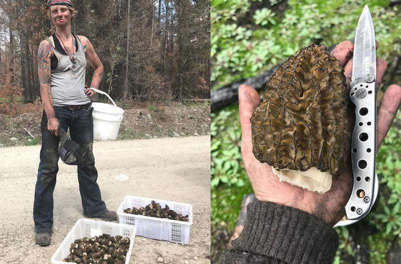 If You Want to Live on Salt Spring, You Need to Be Rich