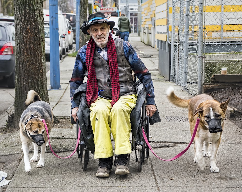 James rolls a wheelchair down the center of the sidewalk holding two pink leashes.  Jaada is to James' left and Kranki is to James' right. 