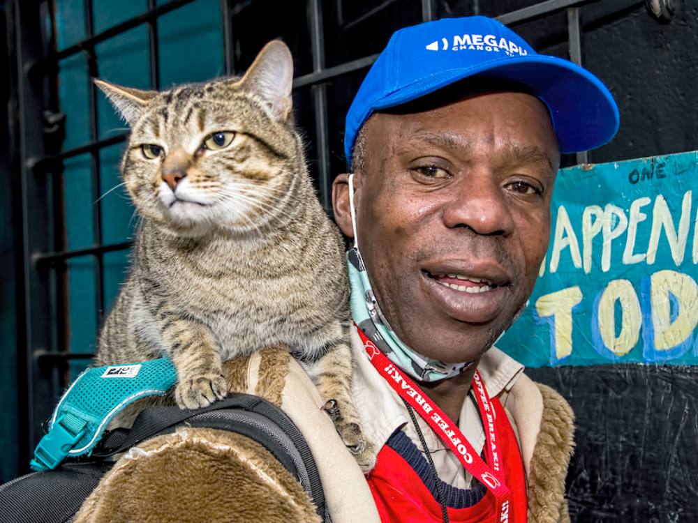 Top: Tamara, in a purple tuque and sweater, holds Beast, a medium-sized dog. Bottom: A close-up shot of a tabby cat, Megalove, riding Paul Shawdover’s right shoulder. 