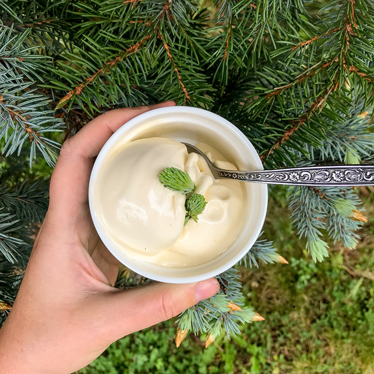 A hand holds up a cup of custard-tinted ice cream, topped with two buds, against a spruce tree. There is a spoon in the cup, with damasked detailing on the handle.