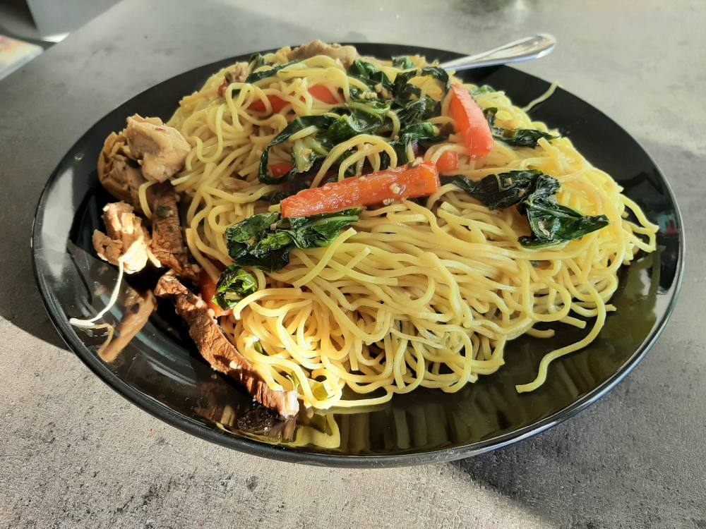 A sunlit plate of chow mein with red pepper and bok choy on top of yellow noodles, chicken and mushrooms on the side.