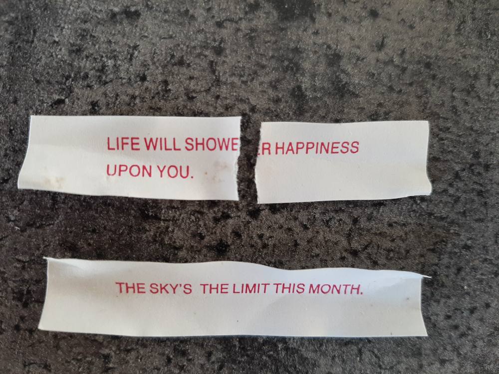 Two paper fortunes from fortune cookies read “Life will shower happiness upon you” and “The sky’s the limit this month.”